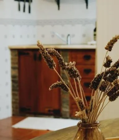 Semi-detached House In The Historic Center - Casa vacanze